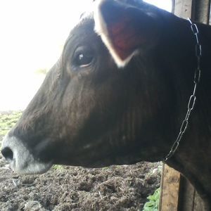 Meet your Posher, Sara